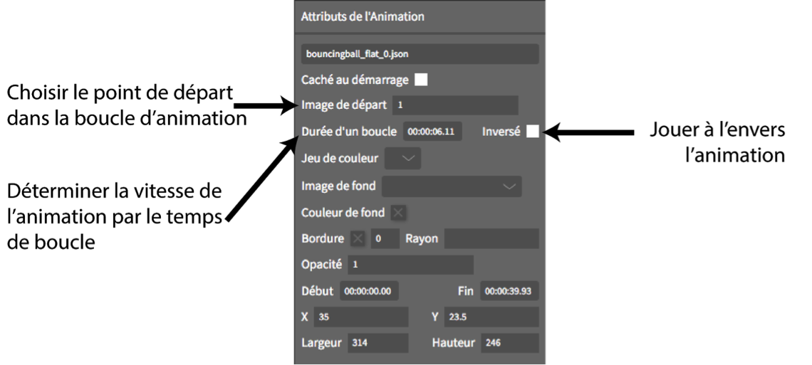 Attributs des animations